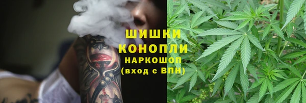 не бодяженный Краснослободск