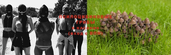 не бодяженный Краснослободск